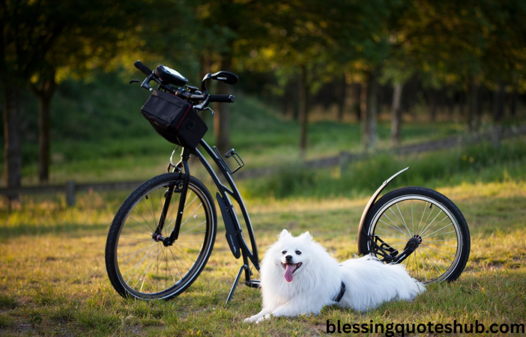 Sunday Morning Blessings for a Peaceful Start